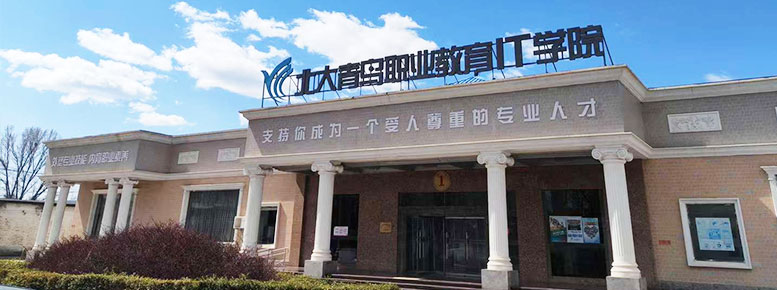 北大青鸟